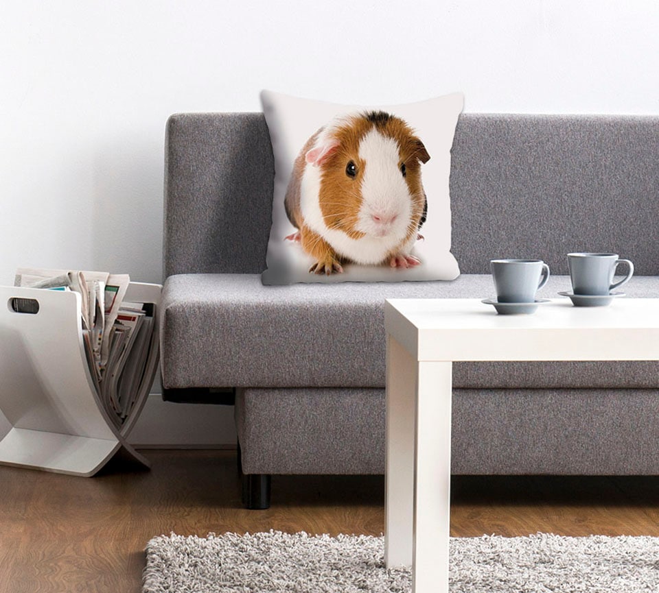 queence Dekokissen »Malte«, Kissenhülle,Meerschweinchen,Tiermotiv,Niedlich, günstig online kaufen