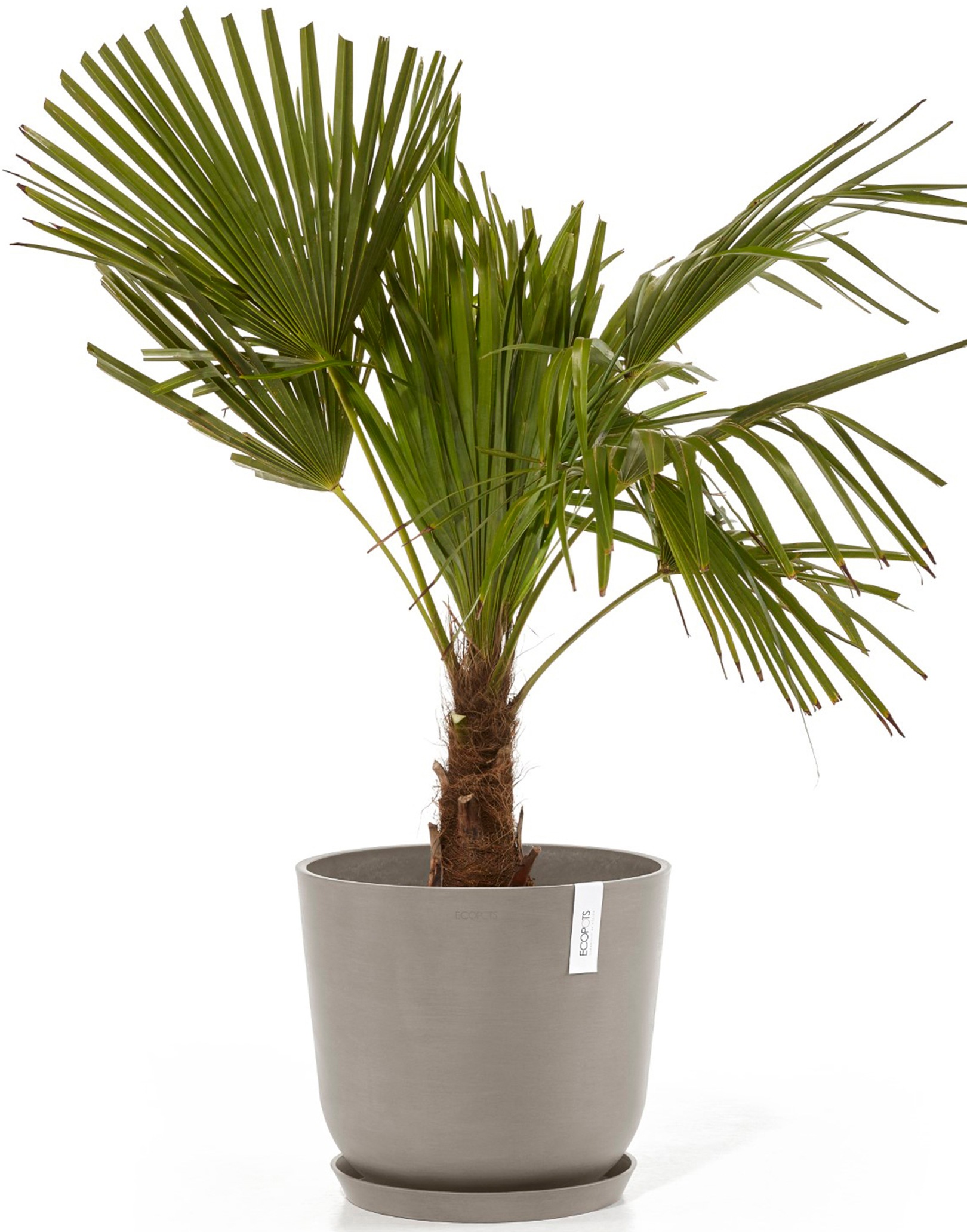 ECOPOTS Blumentopf »Oslo 35 Taupe«, für innen und außen: frostsicher, bruchsicher und lichtbeständig