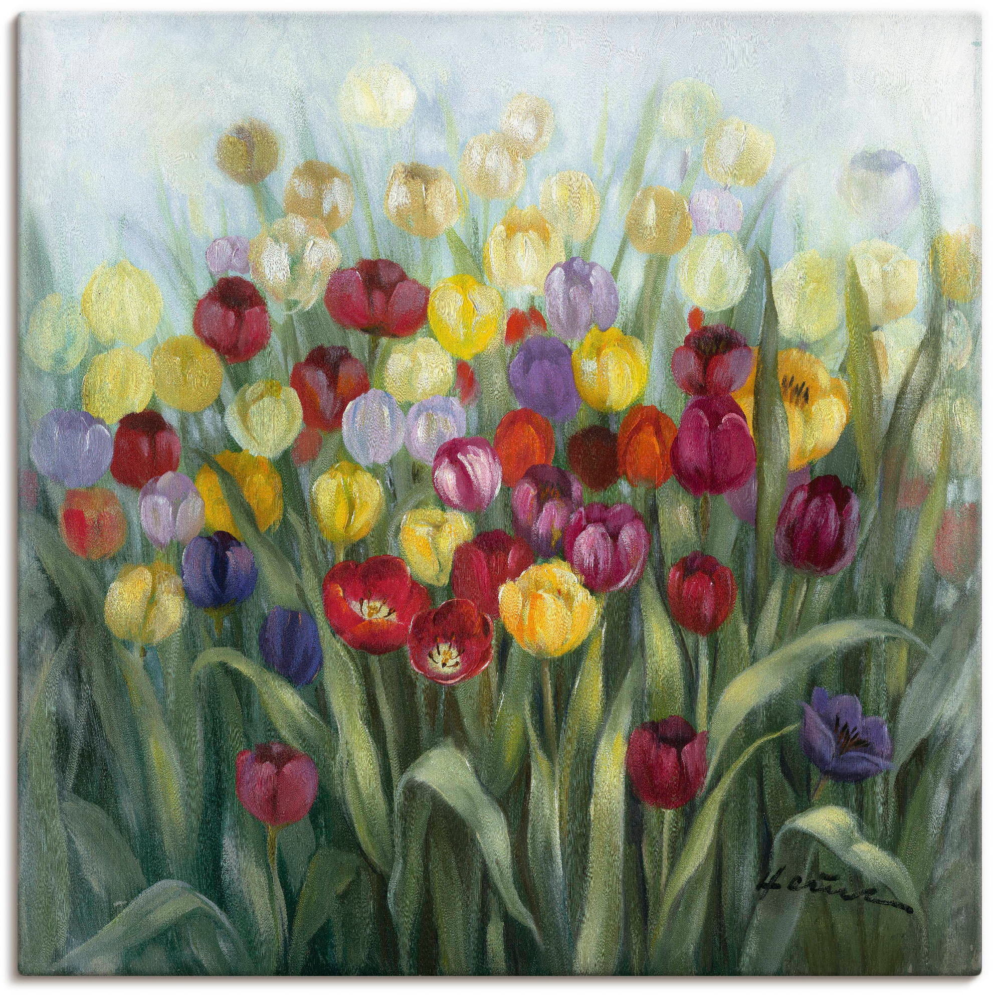 Artland Wandbild »Tulpenwiese II«, Blumenwiese, (1 St.), als Alubild, Outdo günstig online kaufen