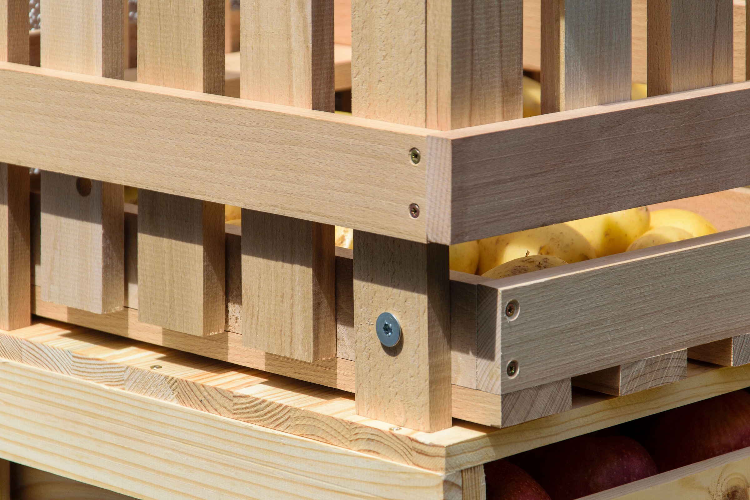 dobar Holzkiste Vorratsbehälter aus Holz mit 2 Abteilungen