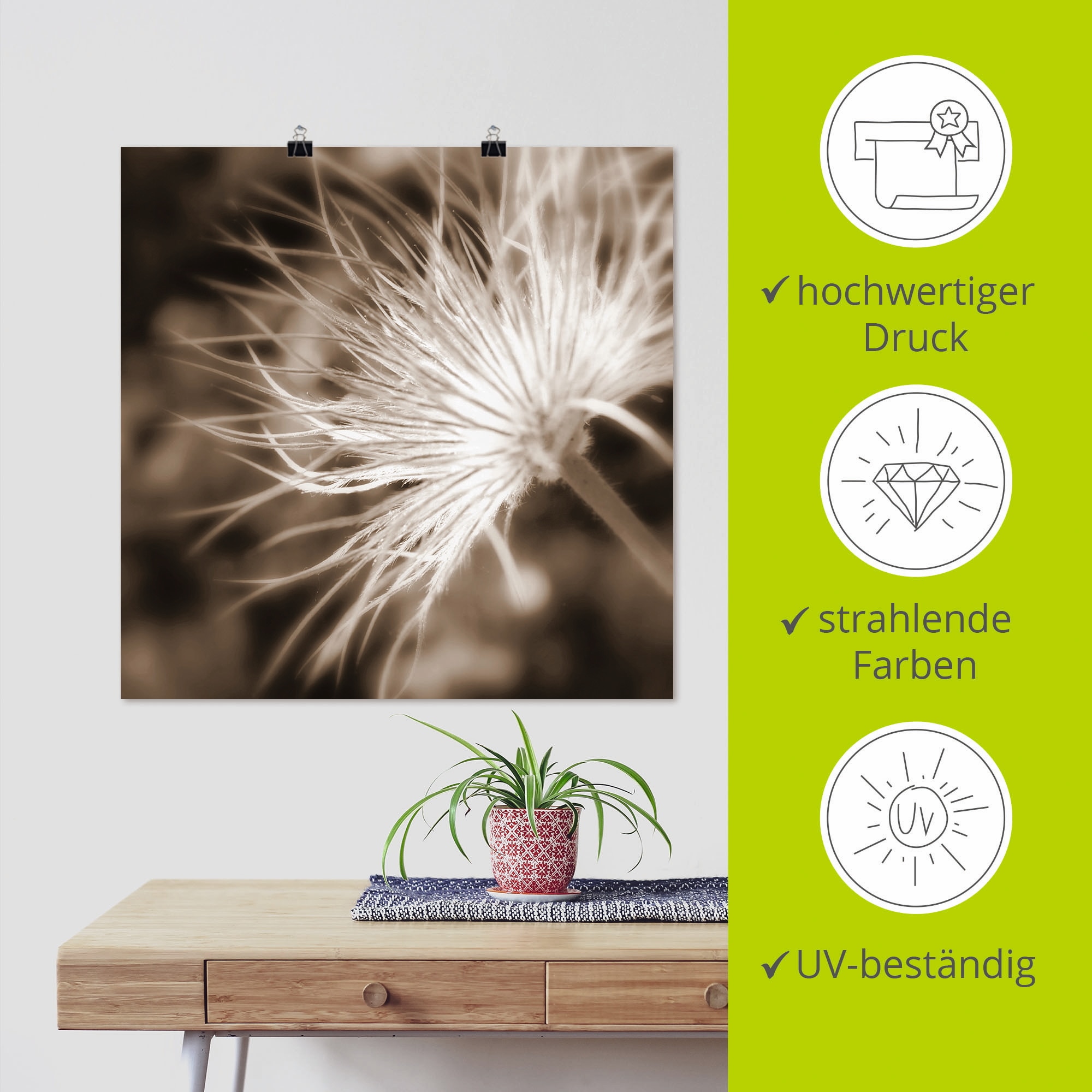 Artland Wandbild »leicht wie eine Feder«, Blumen, (1 St.), als Leinwandbild, Poster in verschied. Größen