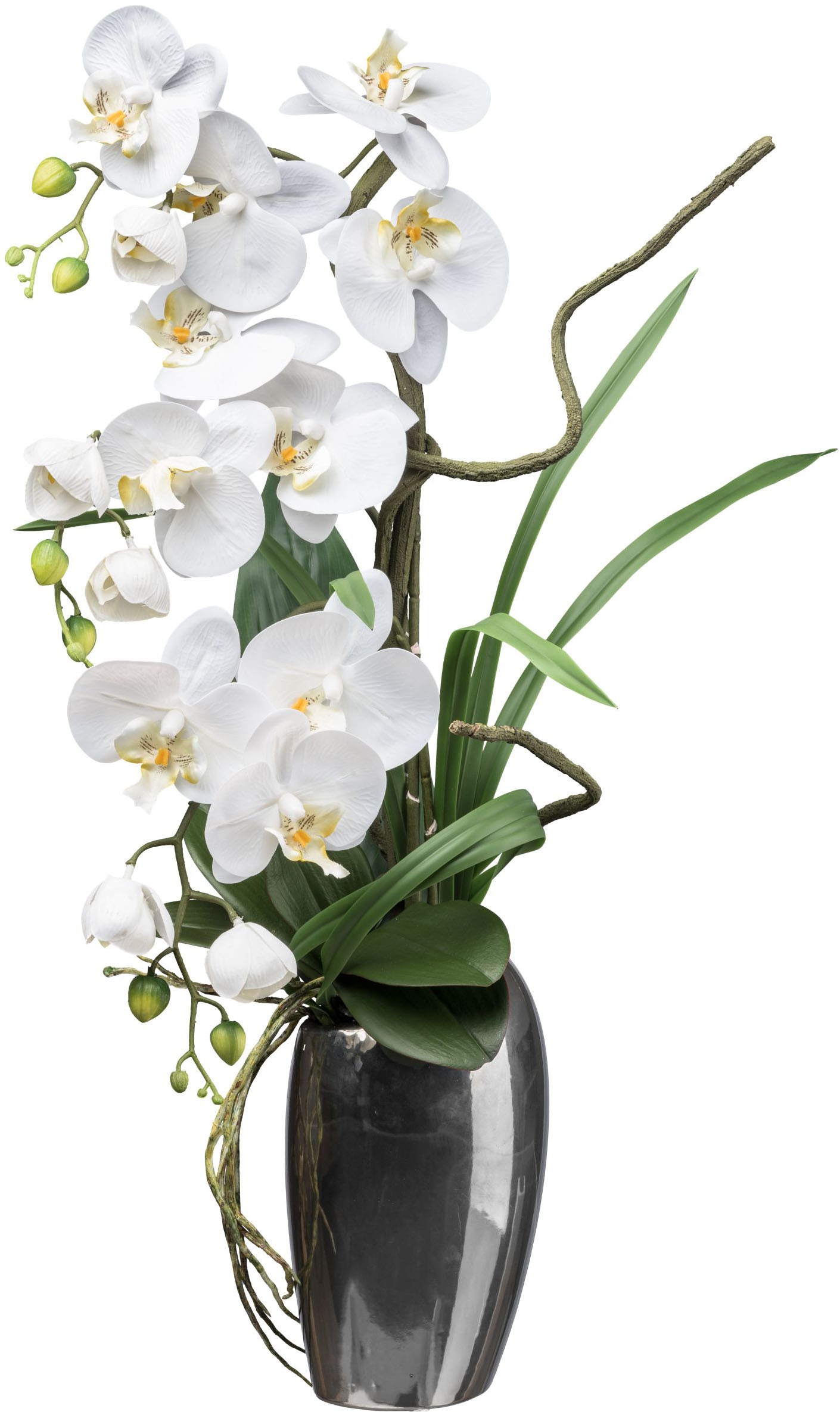 Creativ green Kunstorchidee »Orchidee Phalaenopsis«, mit real-touch-Blüten günstig online kaufen
