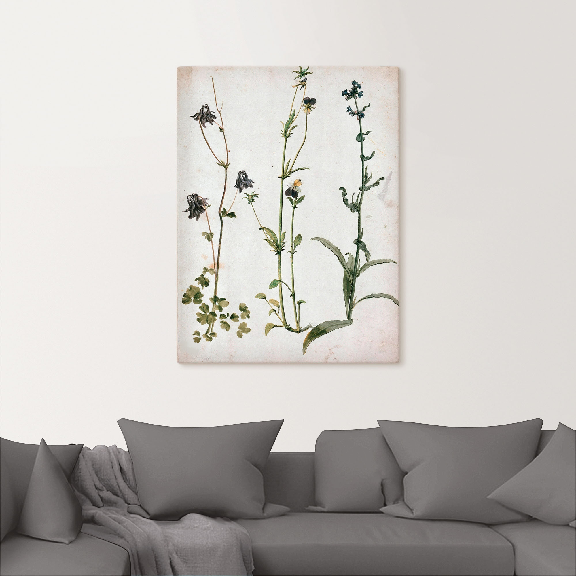 Artland Wandbild »Akelei, Stiefmütterchen und Ochsenzunge«, Blumenbilder, ( günstig online kaufen