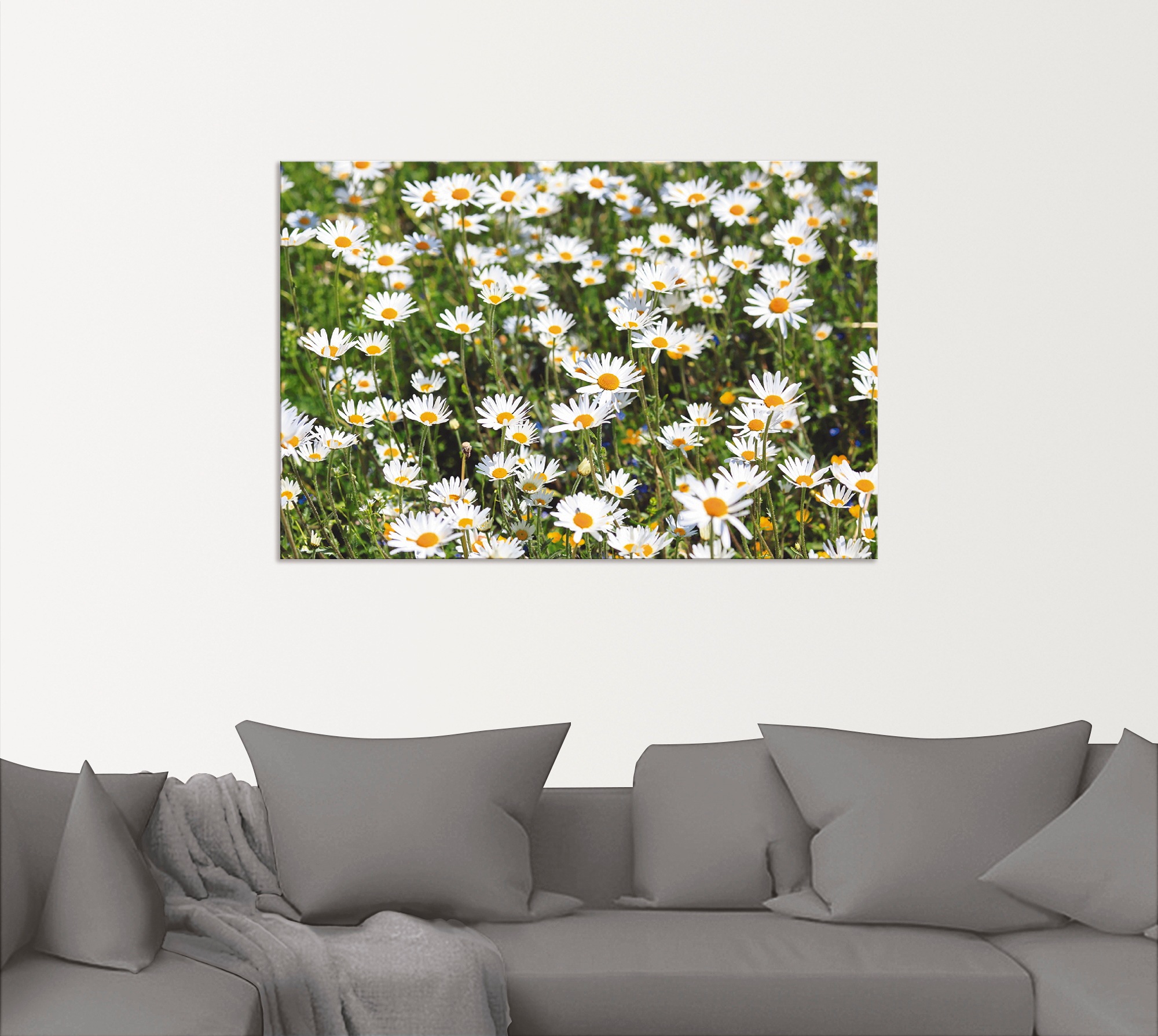 Artland Wandbild »Gänseblümchen« Blumen 1 Stk. tlg. als Alubild, Outdoorbil günstig online kaufen