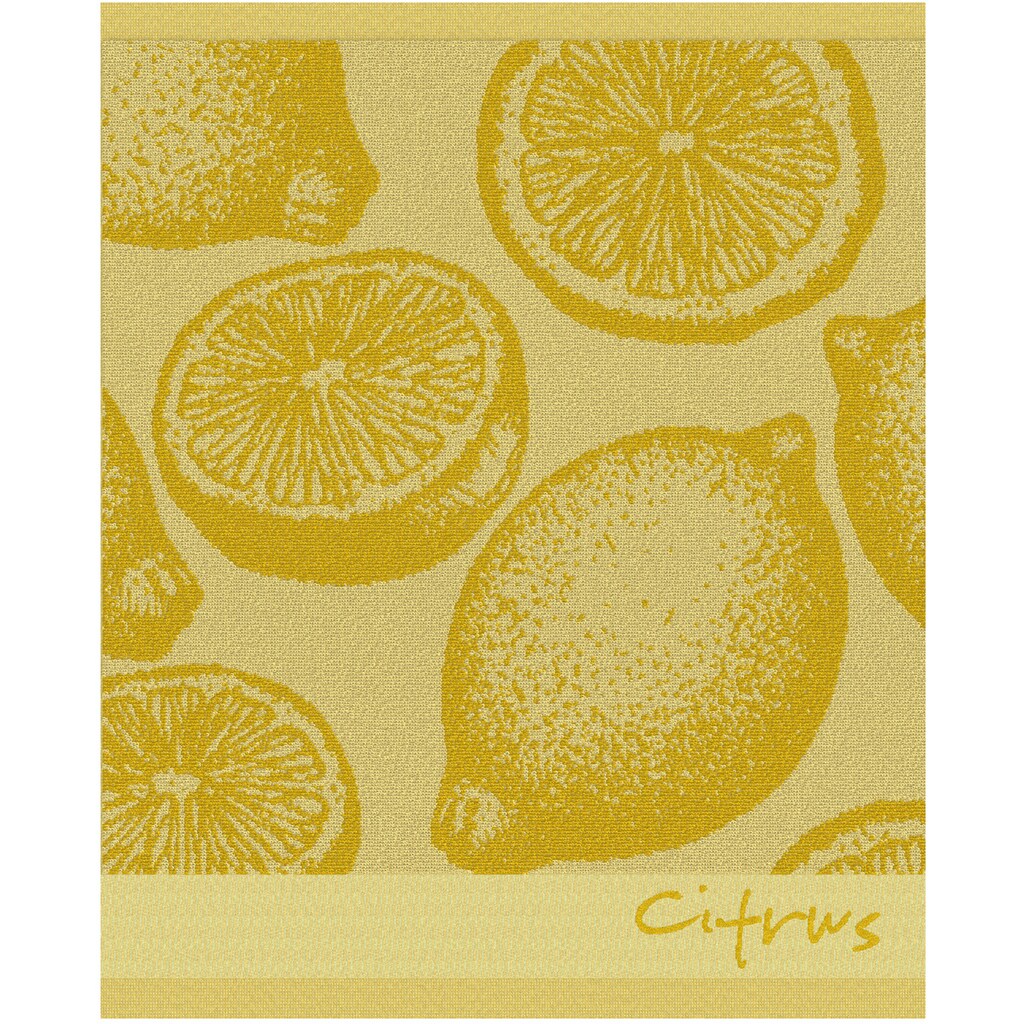 DDDDD Geschirrtuch »Citrus«, (Set, 4 tlg., Combi-Set: bestehend aus 2x Küchentuch + 2x Geschirrtuch)