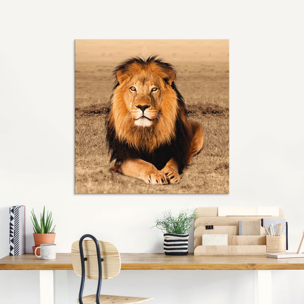 Artland Glasbild »Löwe«, Wildtiere, (1 St.)