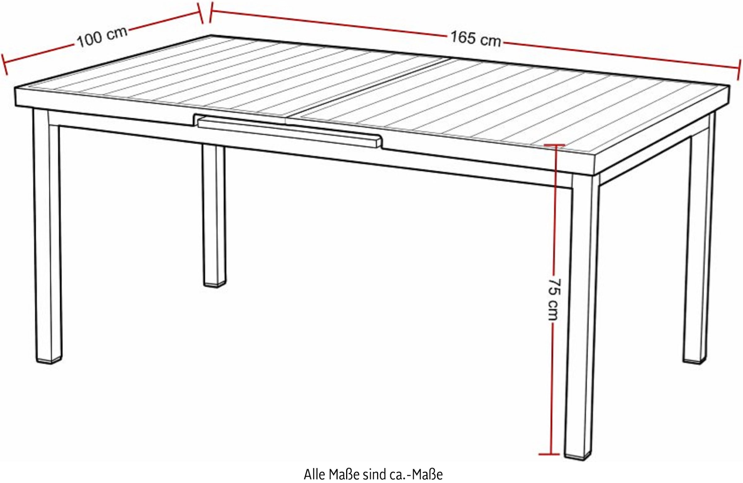 Destiny Garten-Essgruppe »LUCCA IMOLA«, (13 tlg., 4x Sessel, 1x Tisch, inkl. Auflagen), Aluminium, Polyrattan, Rope