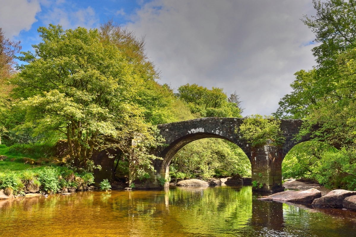 Papermoon Fototapete »Brücke im Wald« günstig online kaufen