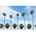 Artland Wandbild »Palmen an der Küste von La Jolla«, Baumbilder, (1 St.), in vielen Größen & Produktarten - Alubild / Outdoorbild für den Außenbereich, Leinwandbild, Poster, Wandaufkleber / Wandtattoo auch für Badezimmer geeignet