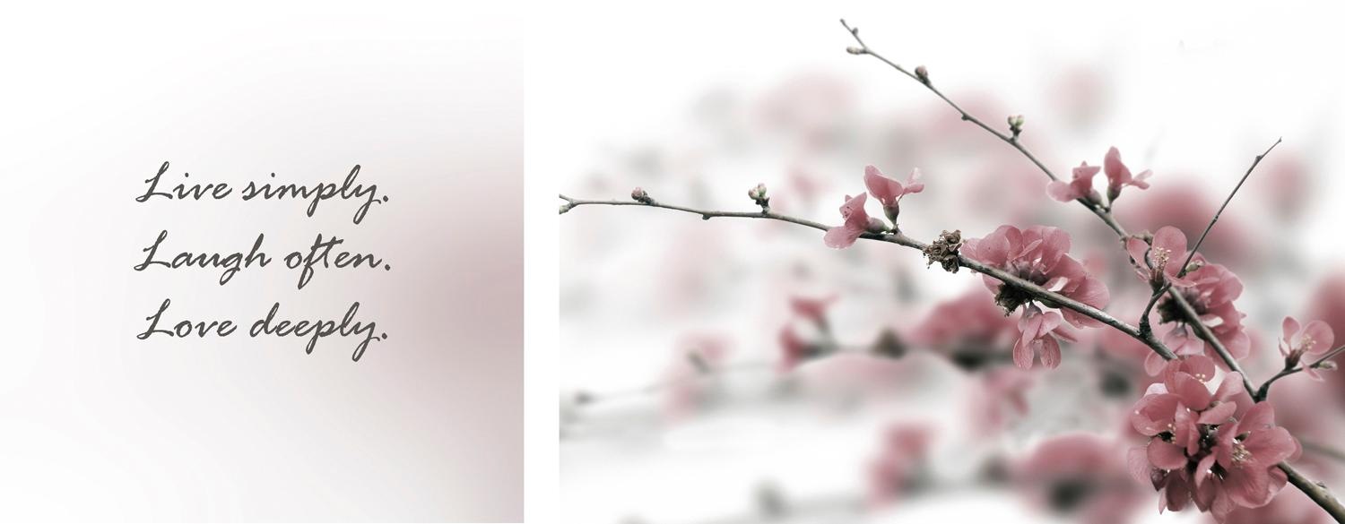 queence Leinwandbild »Live, Laugh & Love«, Blumen-Blumenbilder-Kunst-Modern günstig online kaufen