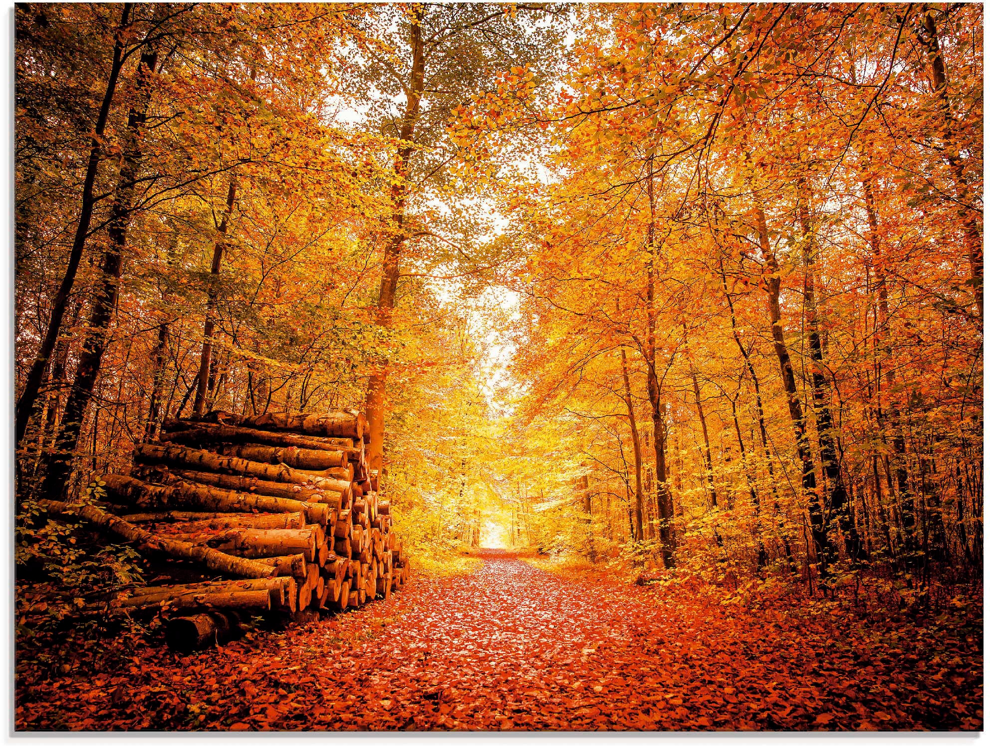 Artland Glasbild "Herbstlandschaft", Vier Jahreszeiten, (1 St.), in verschi günstig online kaufen