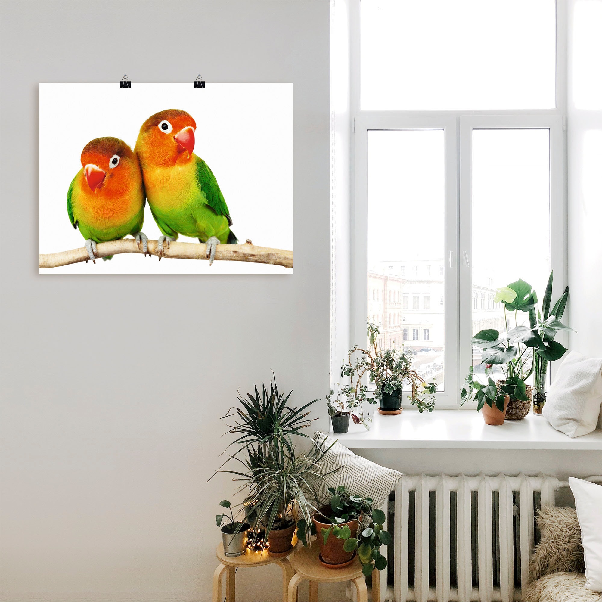 als in auf von versch. Größen »Paar Alubild, Vögel, oder Artland Rechnung (1 Poster Grauköpfchen Wandbild Leinwandbild, bestellen St.), Papageien«, Wandaufkleber -