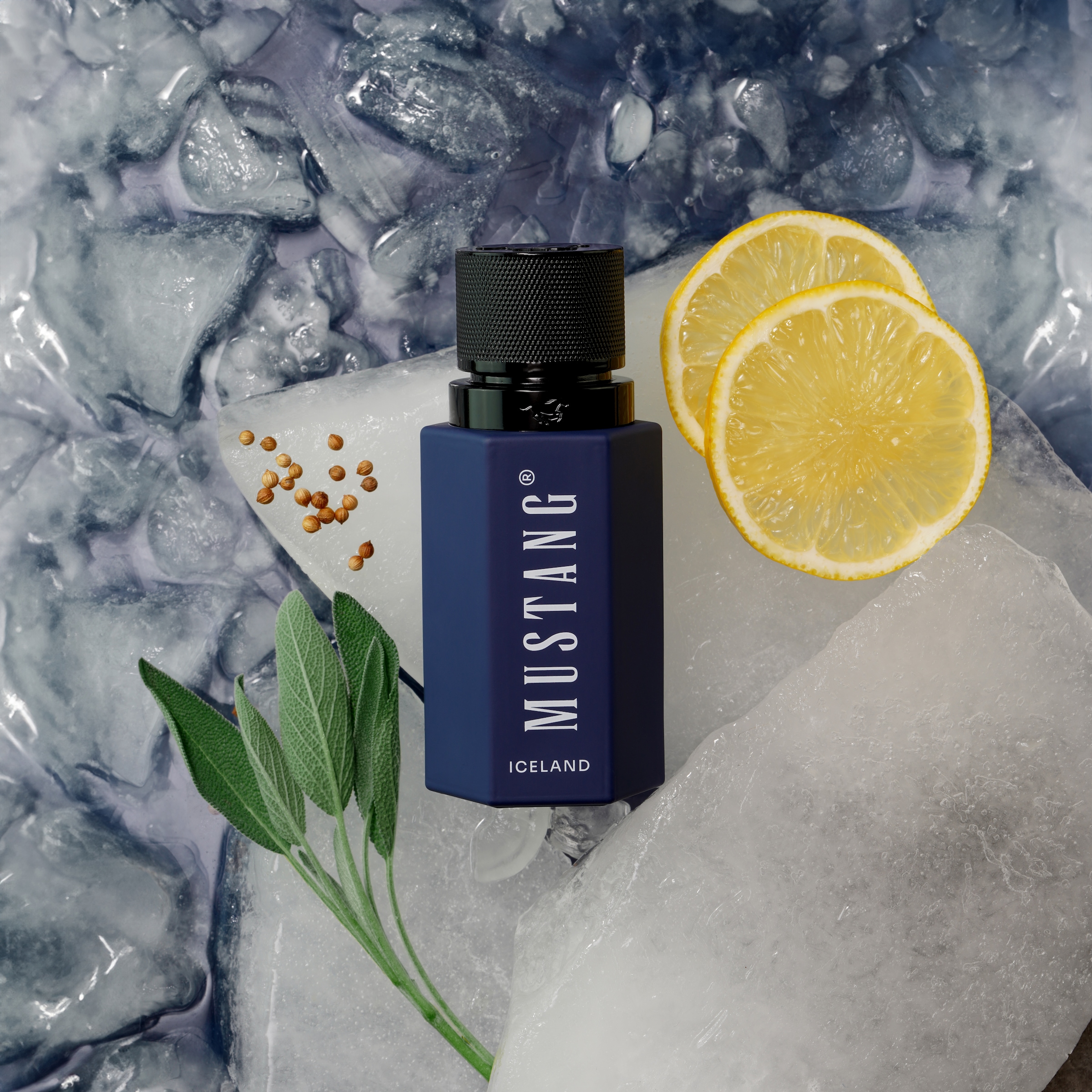 MUSTANG Eau de Parfum »WILD HORIZON ICELAND FOR HIM EDP« 50ml