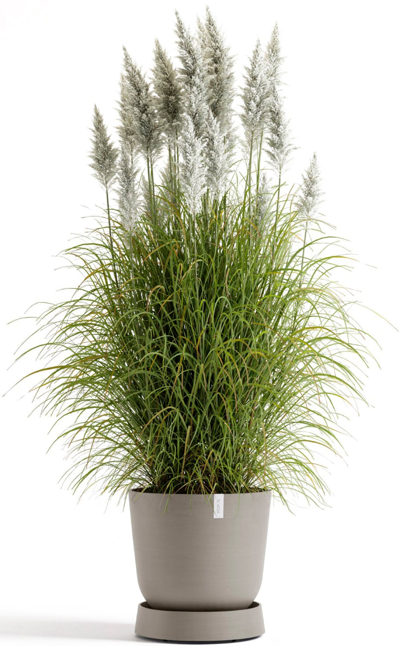 ECOPOTS Topfuntersetzer »mit Rollen Oslo 45 Taupe«, für innen und außen: frostsicher, bruchsicher und lichtbeständig