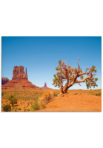 Artland Glasbild »Faszinierende Landschaft Monument Valley«, Amerika, (1 St.) kaufen