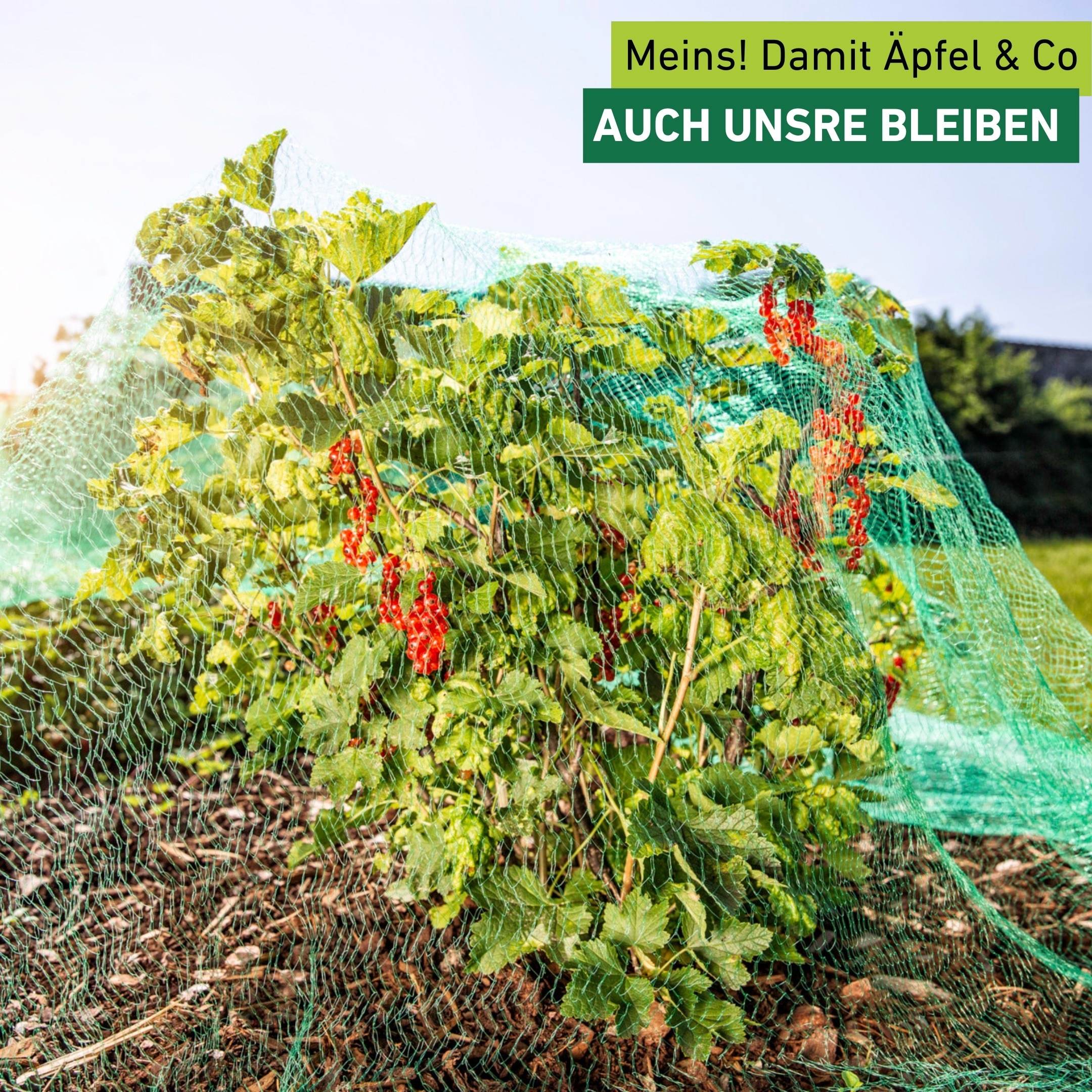 Windhager Schutznetz »für Obstbäume und Sträucher, Vogelschutz-Netz Rational« Maschenweite 15 mm, erhältlich in unterschiedlichen Größen
