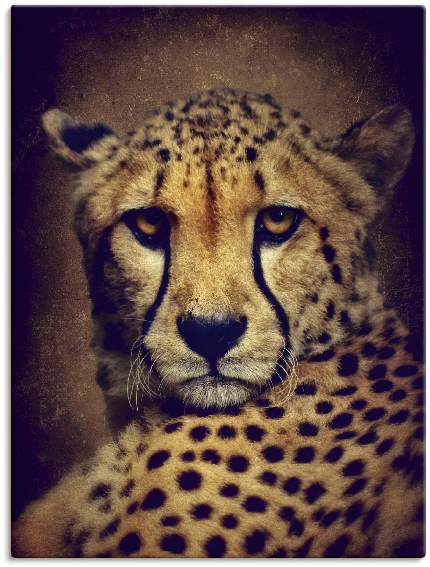 Artland Wandbild »Gepard« Wildtiere 1 Stk. tlg. als Leinwandbild, Wandaufkl günstig online kaufen