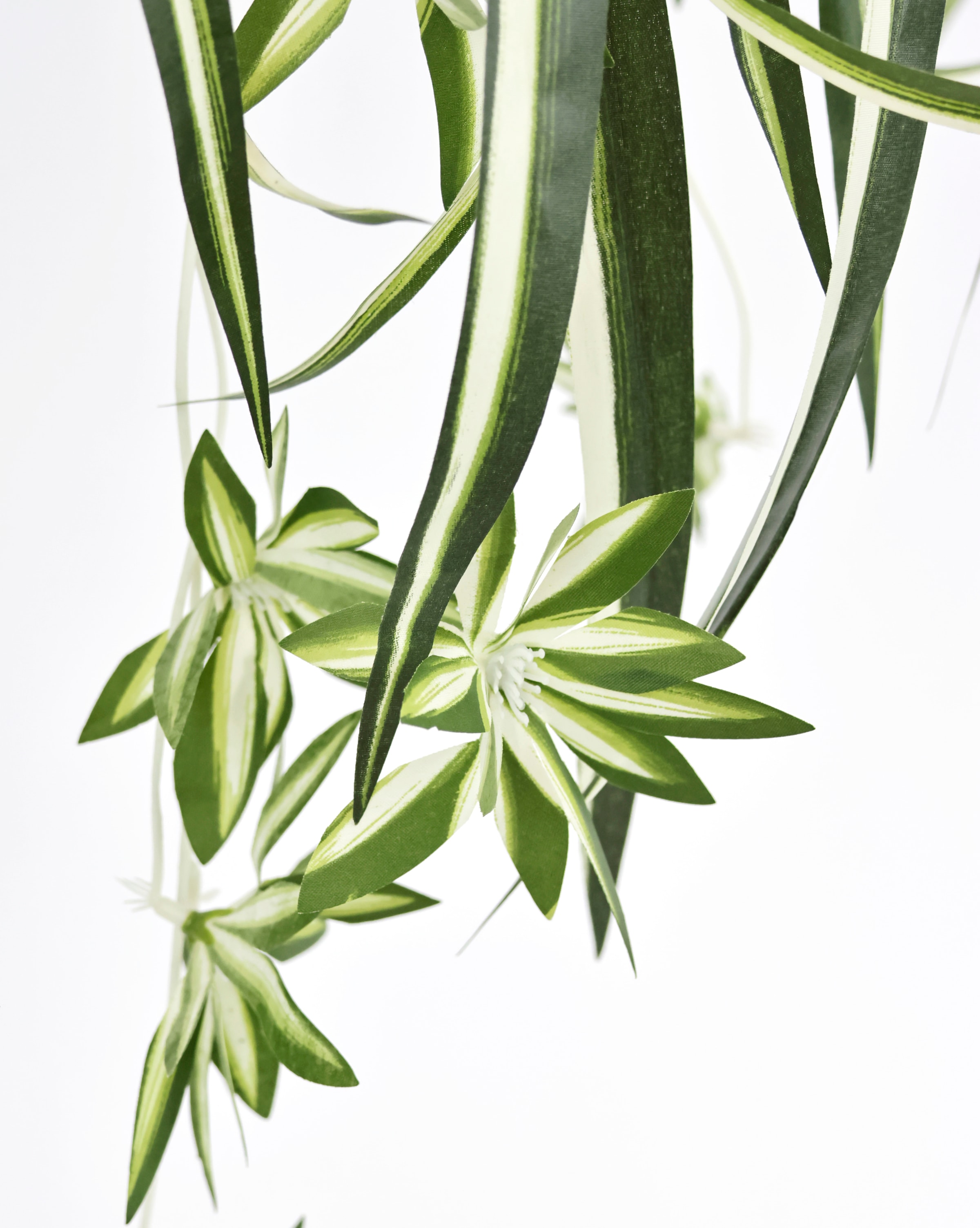 my home Kunstpflanze Wasserlilie auf künstliche Mit bestellen Hängeampe, »Grünlilie«, Raten