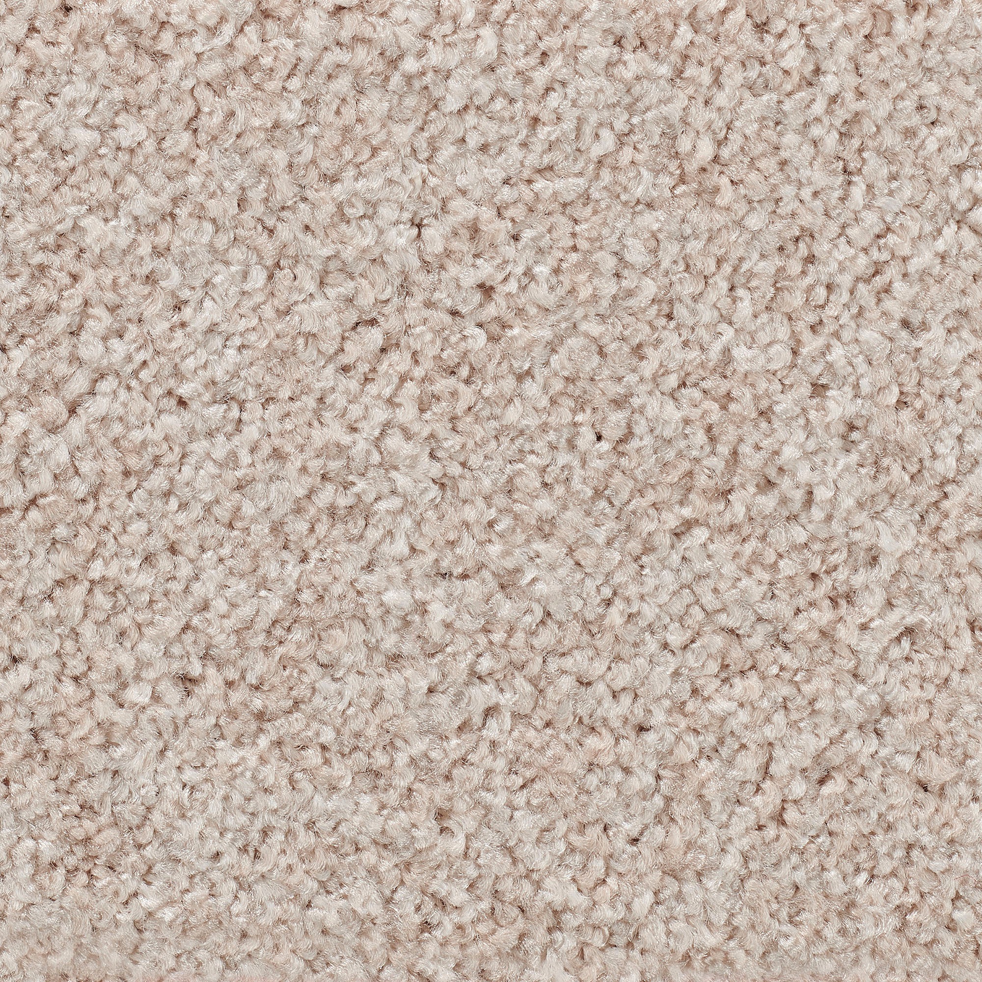 Vorwerk Teppichboden »Passion 1055, Velours - Uni Farben, Made in Germany«, günstig online kaufen