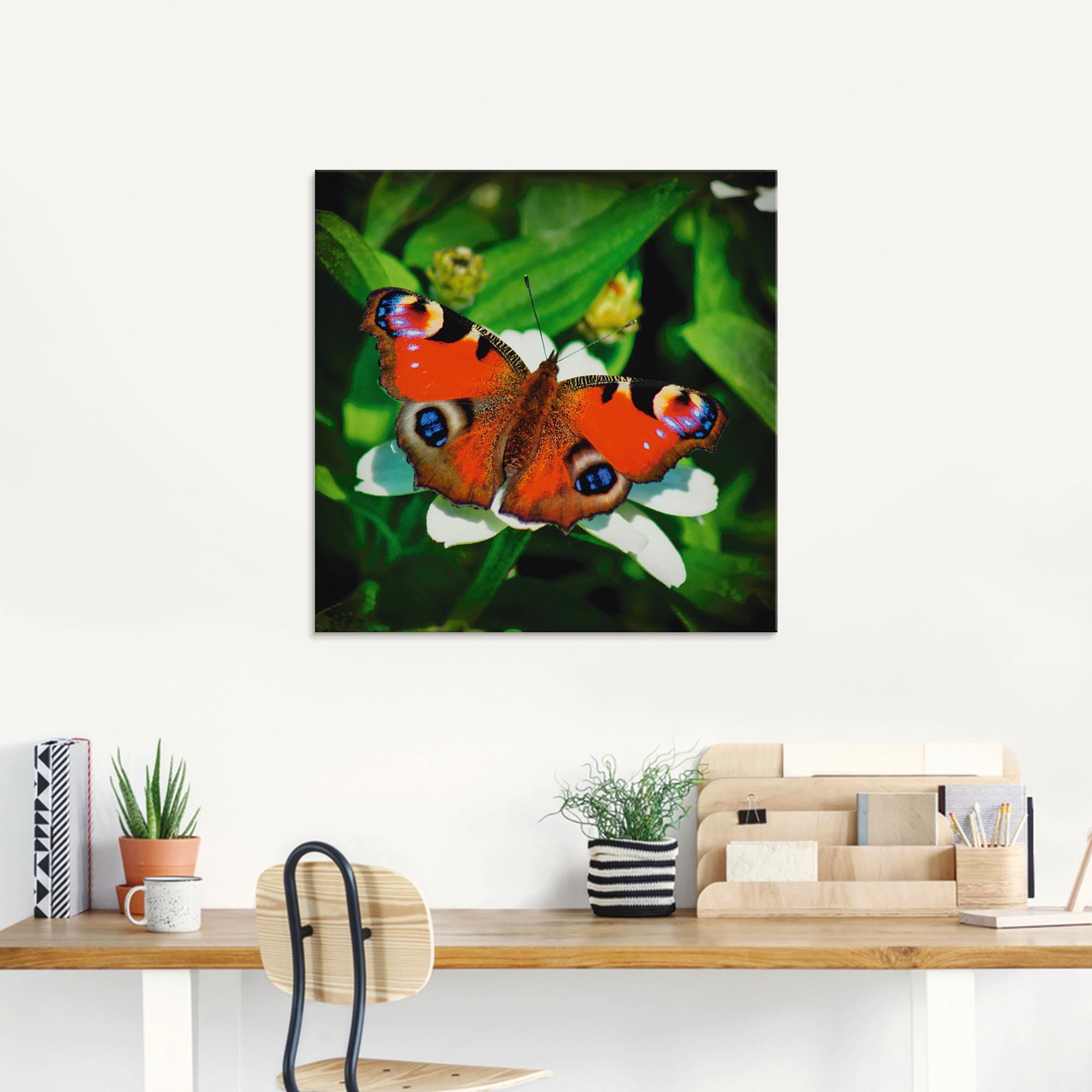 Artland Glasbild »Tagpfauenauge«, Insekten, (1 St.), in verschiedenen Größen