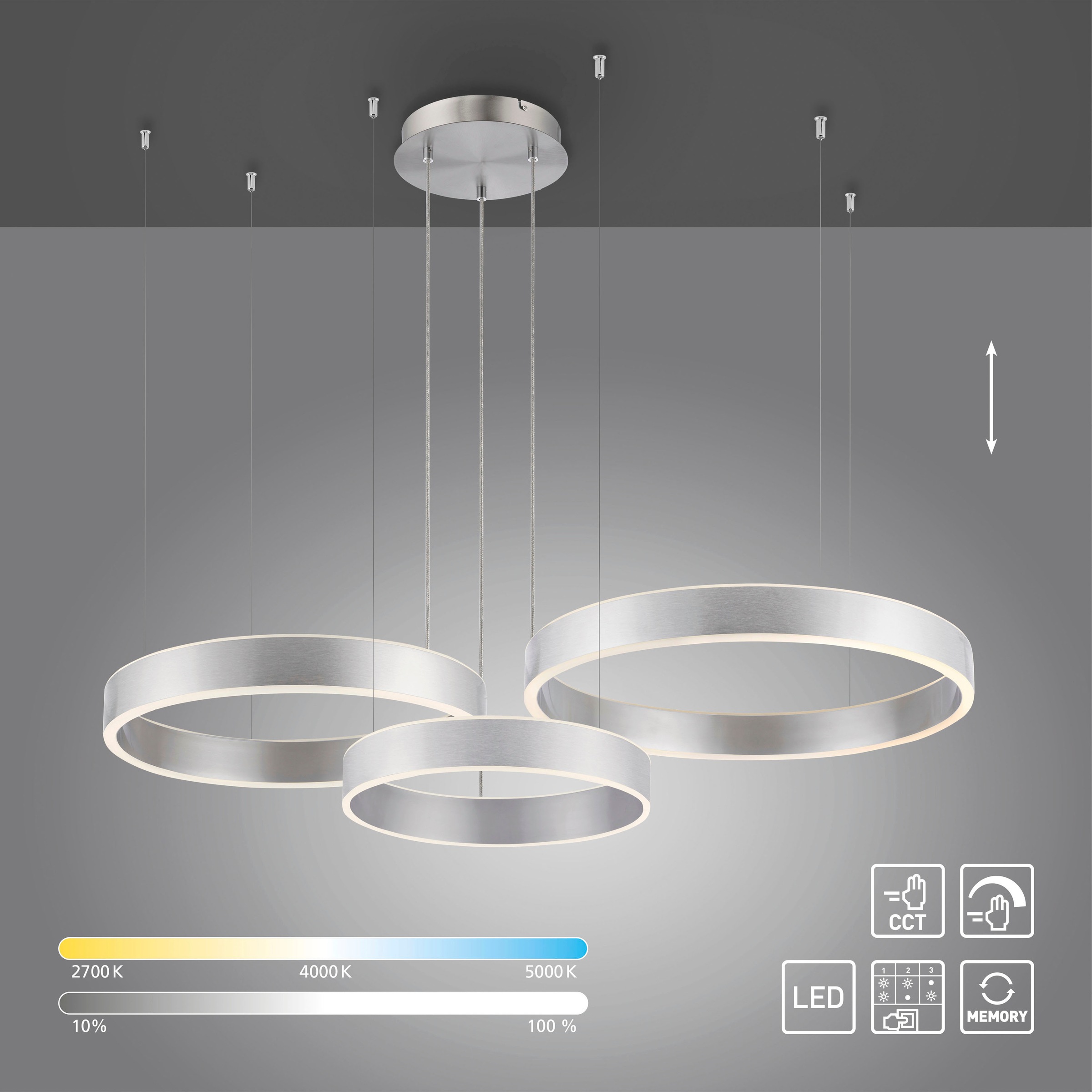 Paul Neuhaus Pendelleuchte »SCULLI« LED-Board 1 Stk. warmweiß - kaltweiß günstig online kaufen