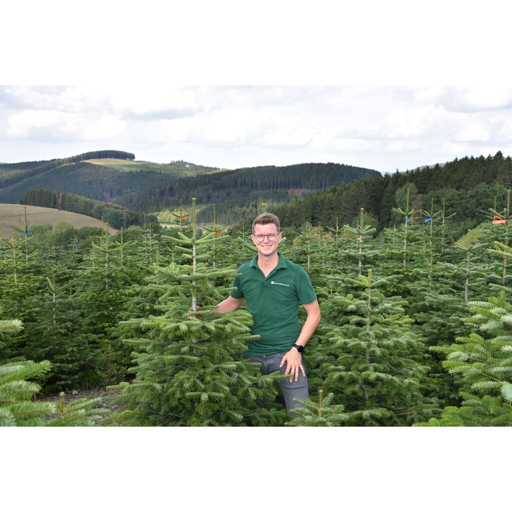 Weihnachtsbaumland Echter Weihnachtsbaum »Nordmanntanne inkl. Mini-Baumständer, Weihnachtsdeko«, Nordmanntanne, Höhe ca. 100 bis 120 cm