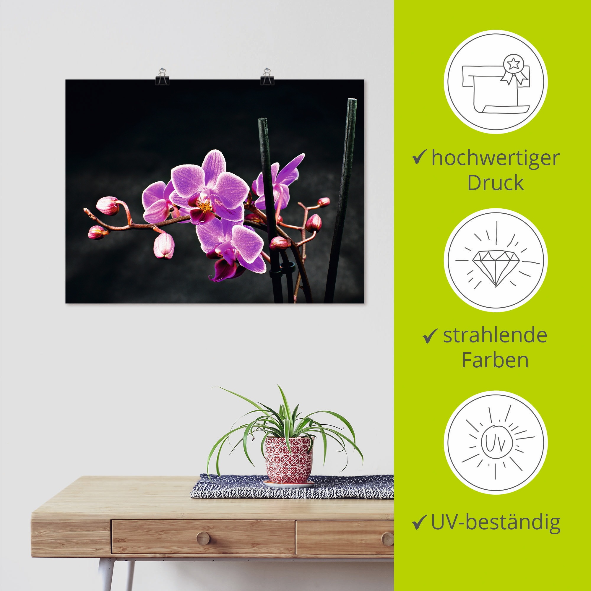 Artland Wandbild »Eine Orchidee vor schwarzem Hintergrund«, Blumen, (1 St.), als Leinwandbild, Poster, Wandaufkleber in verschied. Größen