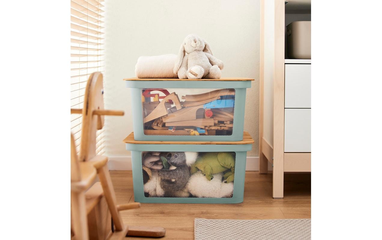 Rotho Babydesign Aufbewahrungsbox »Spielzeugbox PINA 45 l Sage«