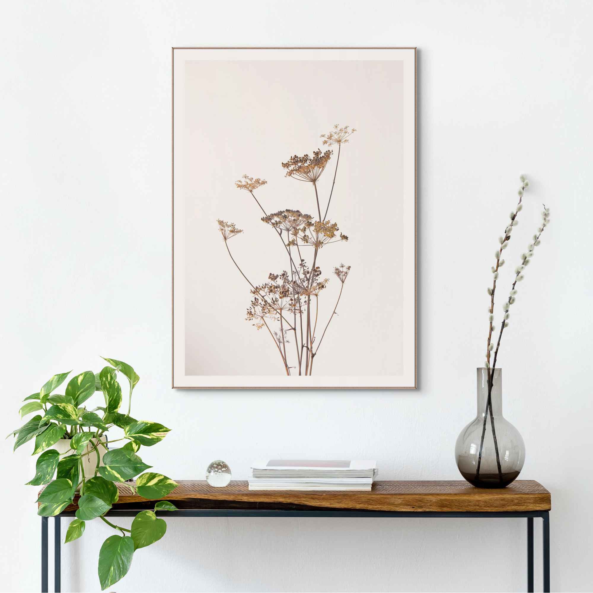 Reinders! Bild »Gerahmtes Bild Bärenklau Natur - Pflanz - Getrocknet - Blumen«, Pflanzen, (1 St.)