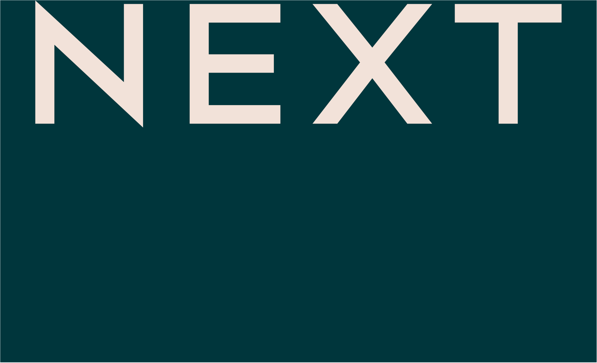 Vliestapete NEXT "CIRCUMFLEX", brun, H:10m L:10m