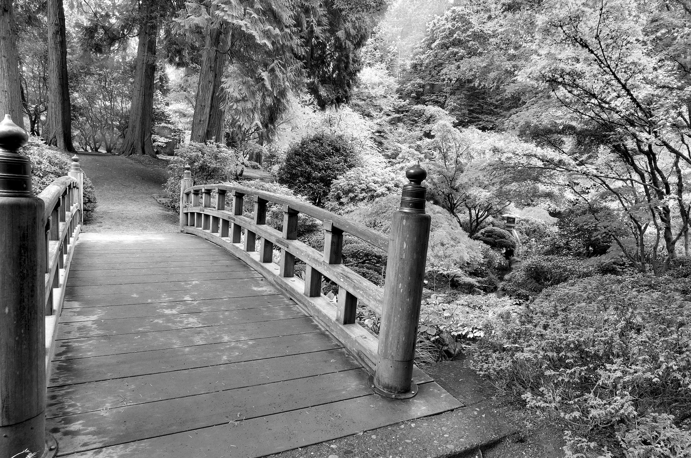 Papermoon Fototapete »Brücke Schwarz & Weiß« günstig online kaufen