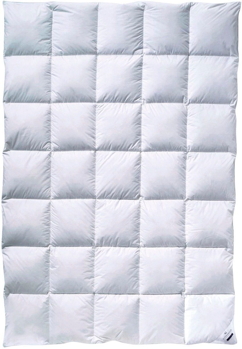 billerbeck Daunenbettdecke »Enisa 80, Bettdecke in 135x200, 155x220, 200x200 cm«, normal, Füllung 80% Daunen, 20% Federn, Bezug 100% Baumwolle, (1 St.), Die winterwarme Daunendecke
