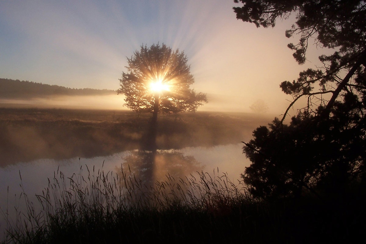 Papermoon Fototapete »Fluss Sonnenaufgang« günstig online kaufen