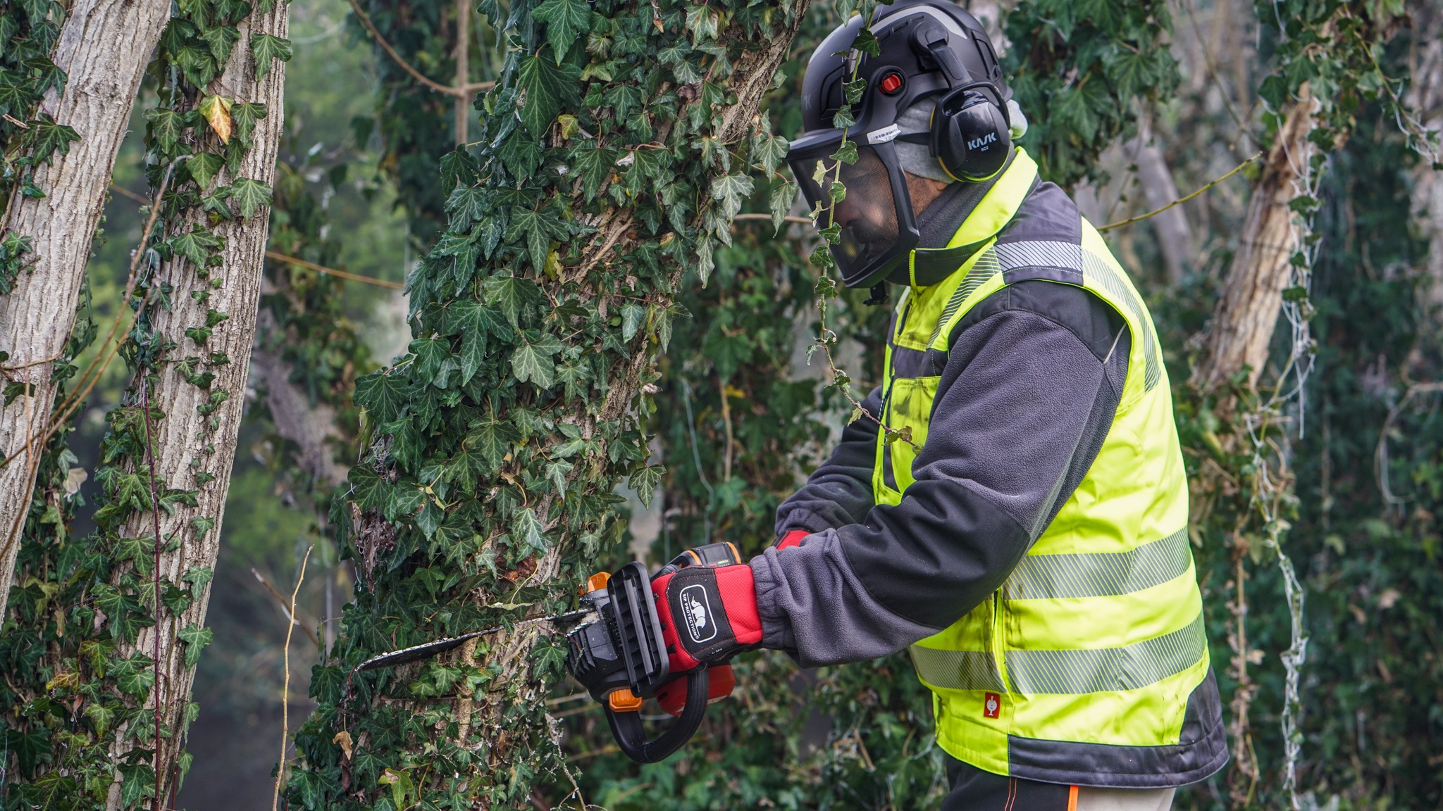 Worx Akku-Kettensäge »WG350E.9 Nitro Profi«, leistungsstarke Holzsäge, 10m/s, ohne Akku und Ladegerät
