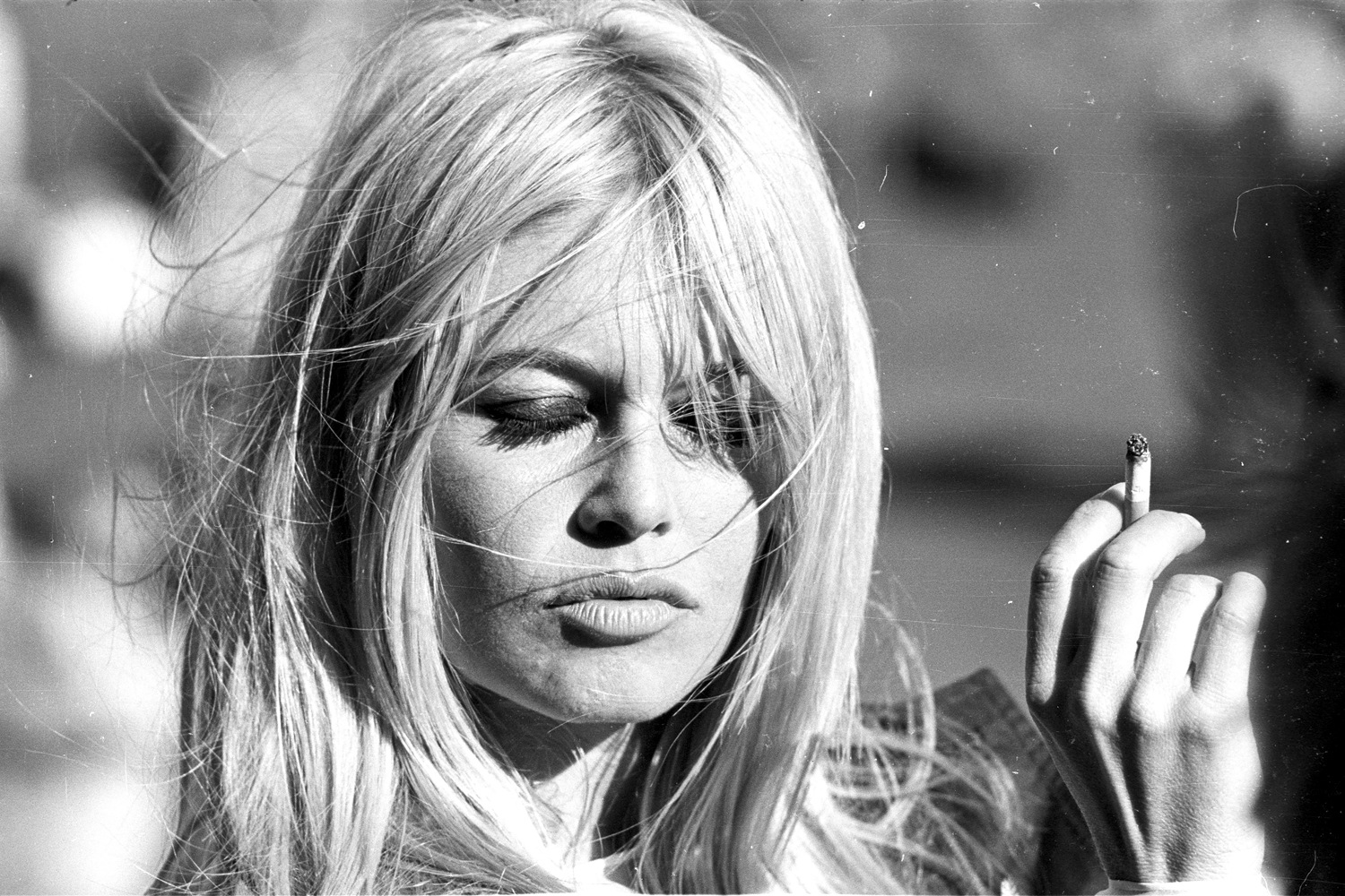 queence Acrylglasbild »Brigitte Bardot«, Schwarz-Weiß-Frau-Stars-Portrait-F günstig online kaufen