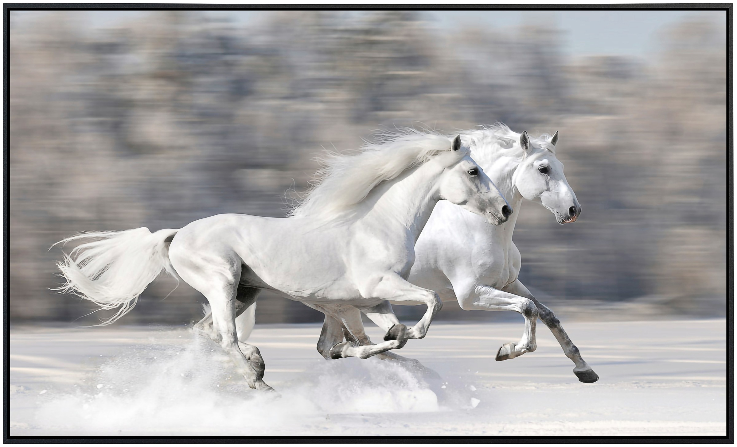 Papermoon Infrarotheizung »Weiße Pferde«, sehr angenehme Strahlungswärme günstig online kaufen