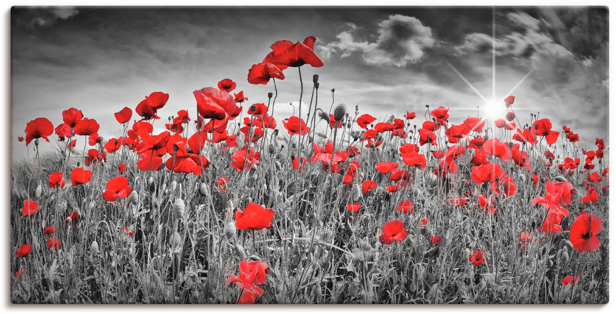 Artland Wandbild »Idyllisches Mohnblumenfeld mit Sonne« Blumen 1 Stk. tlg. günstig online kaufen
