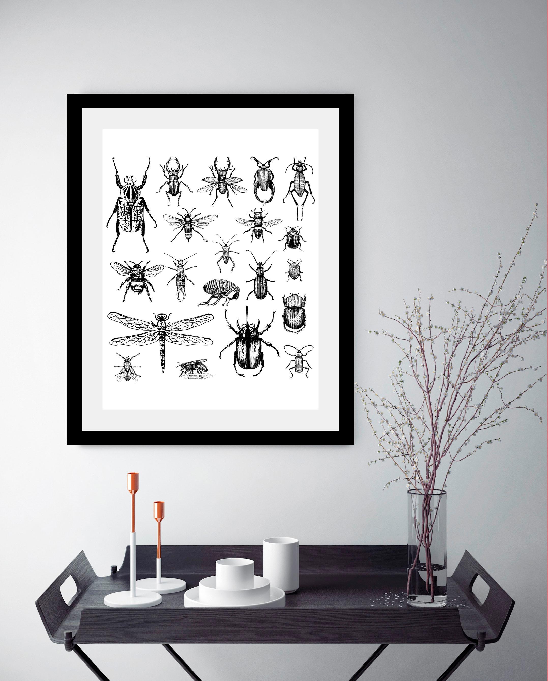 queence Bild »Käfer«, Tiere-Schwarz-Weiß-Kunst-Insekten, HD Premium Poster- günstig online kaufen