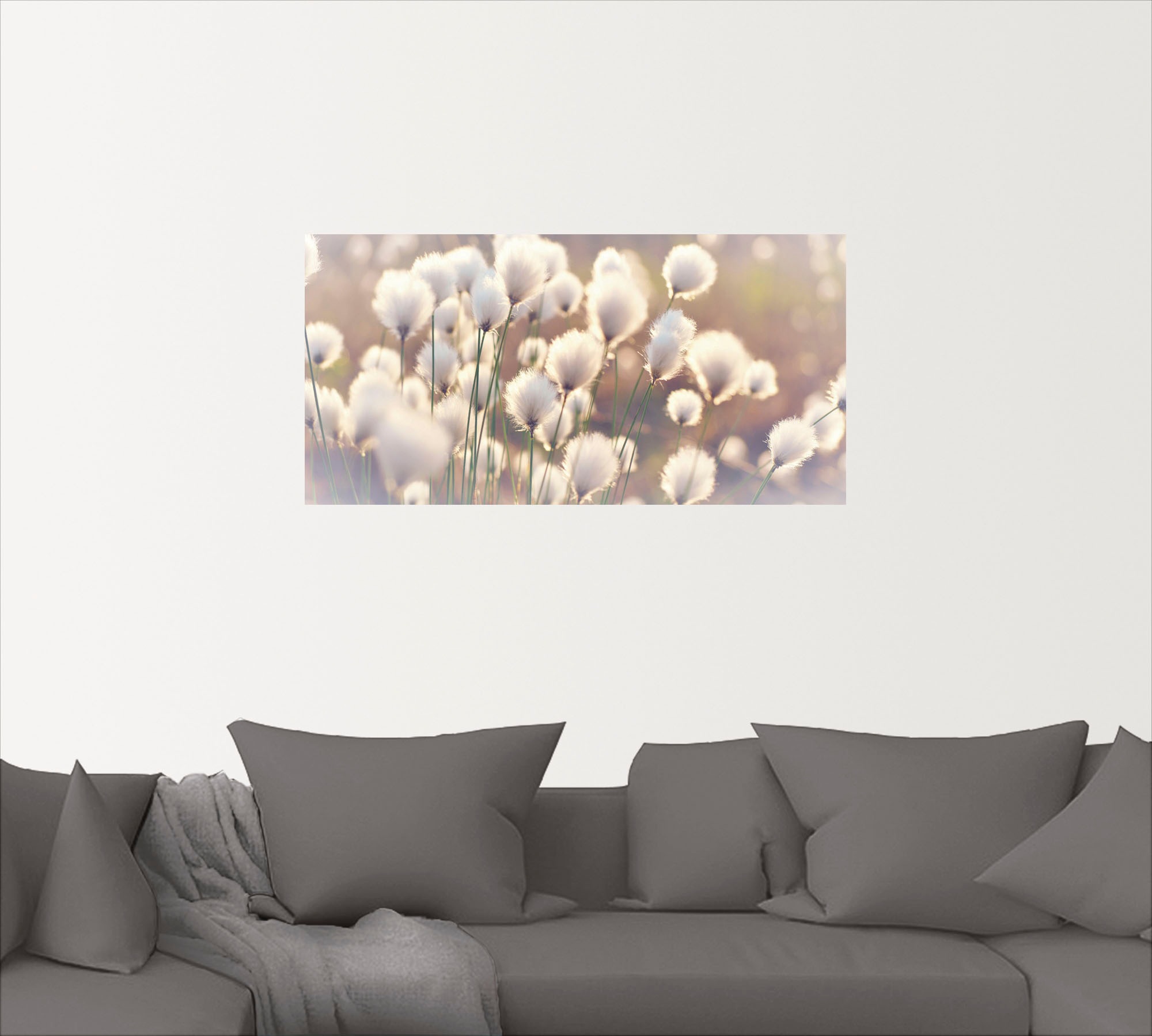 Artland Wandbild »Wollgraszauber im Moor«, Gräser, (1 St.), als Alubild, Outdoorbild, Leinwandbild, Poster, Wandaufkleber