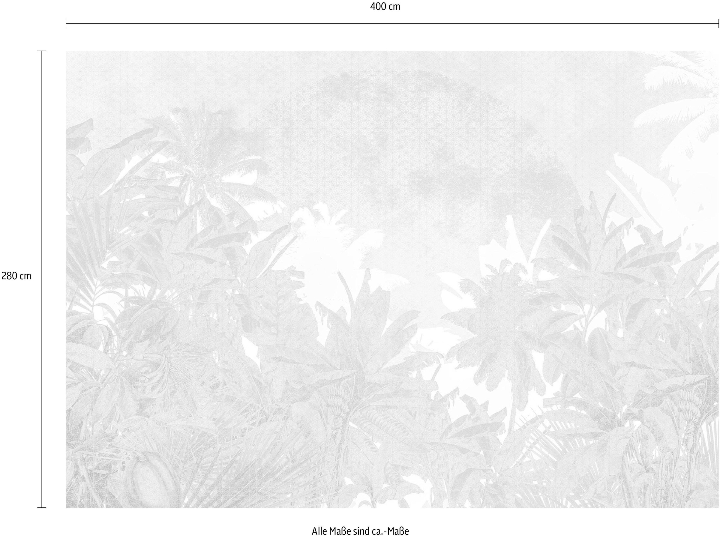 Komar Vliestapete »Digitaldruck Vlies - Palmiers - Größe 400 x 280 cm«, bedruckt, Wohnzimmer, Schlafzimmer