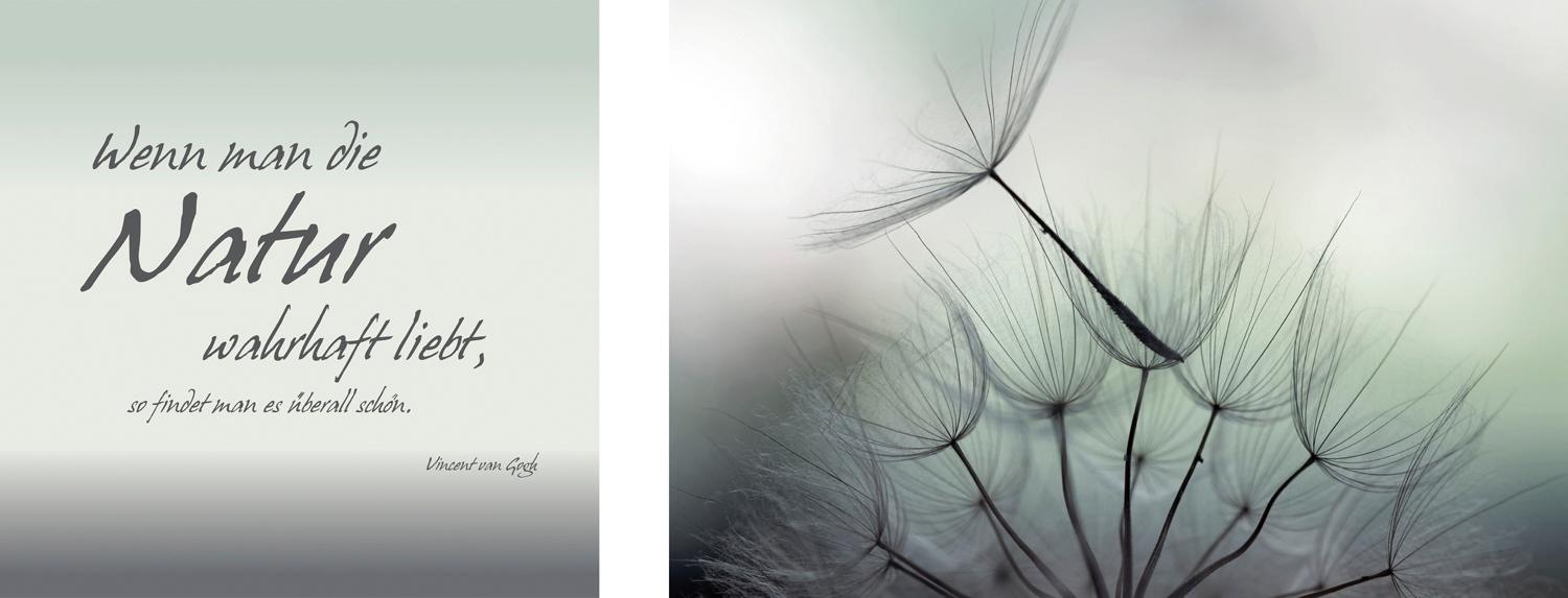queence Leinwandbild »Natur«, Blumen-Blumenbilder-Kunst-Modern-Spa-Spa Bild günstig online kaufen
