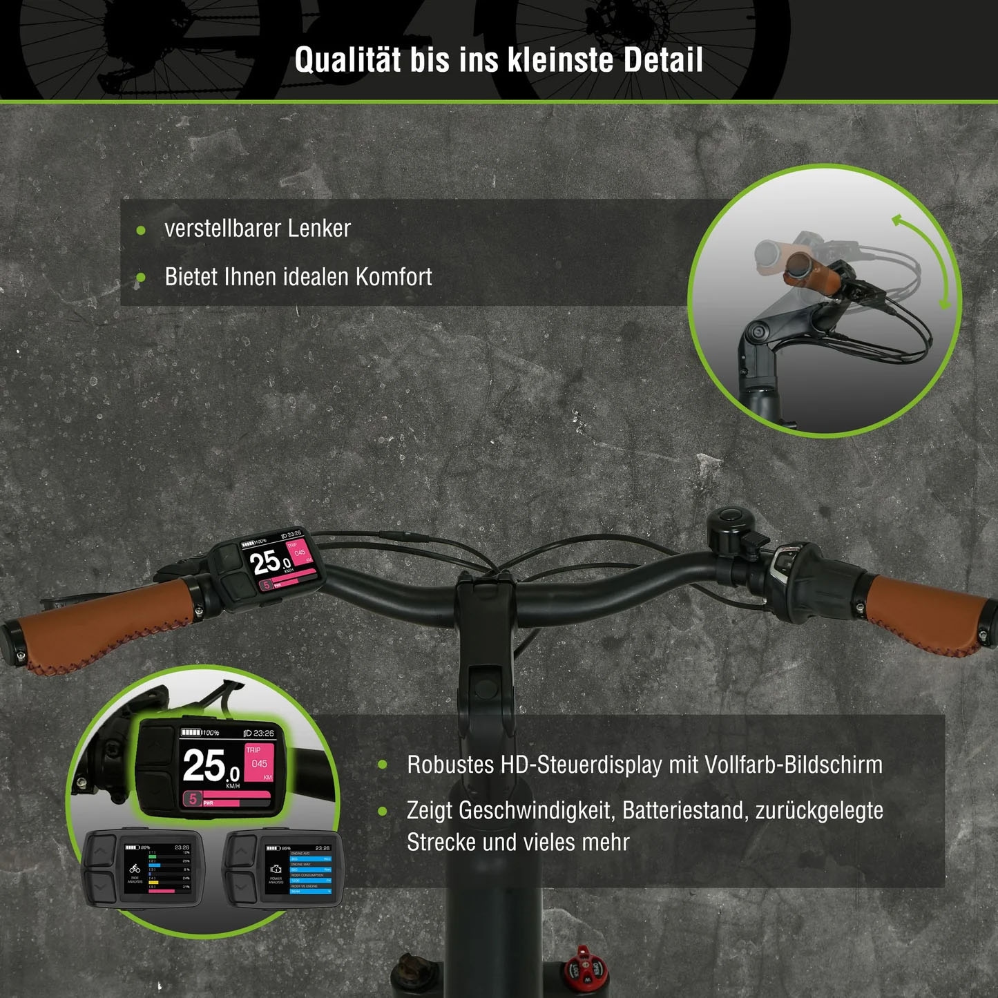 SachsenRad E-Bike »C5«, 7 Gang, Shimano, SHIMANO 7SP TOURNEY TY300, Mittelmotor 250 W, TFT Farb-LCD-Display, Fahrmodus Pedelec, 
LED-Frontlicht, Alarmanlage