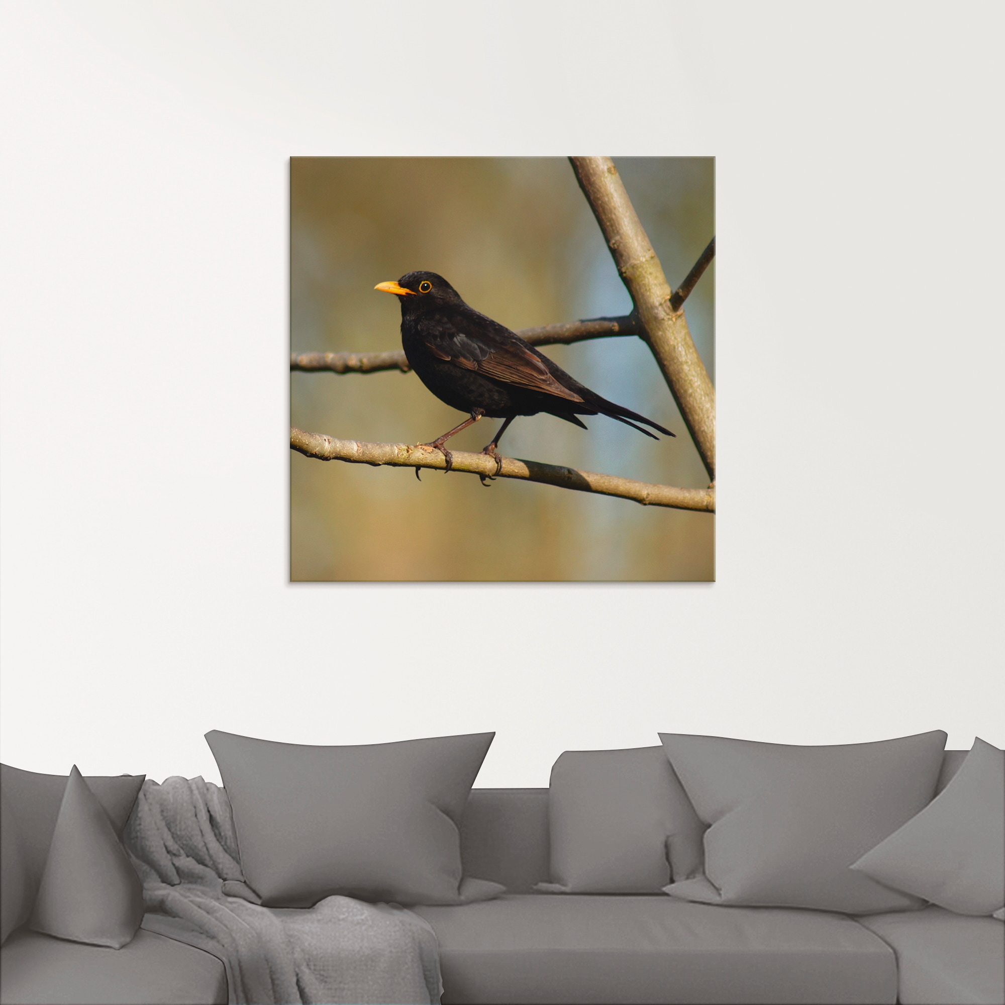 Artland Glasbild »Amsel«, Vögel, (1 St.), in verschiedenen Größen günstig online kaufen