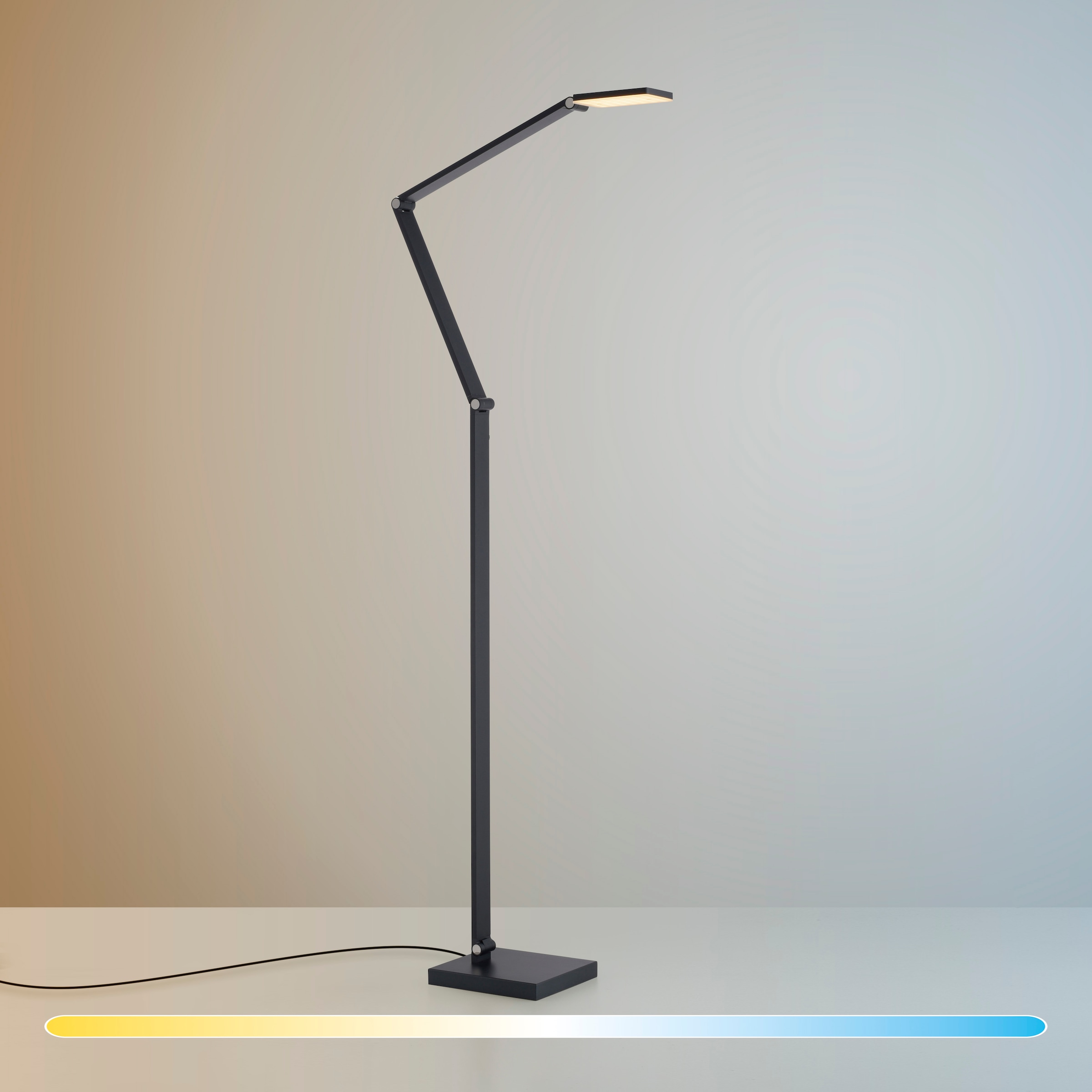 Paul Neuhaus LED Stehlampe »SAMSKY« LED-Board 1 Stk. warmweiß - kaltweiß Tastdimmer, CCT 2700-5000K, Memory, Höhenverstellbar