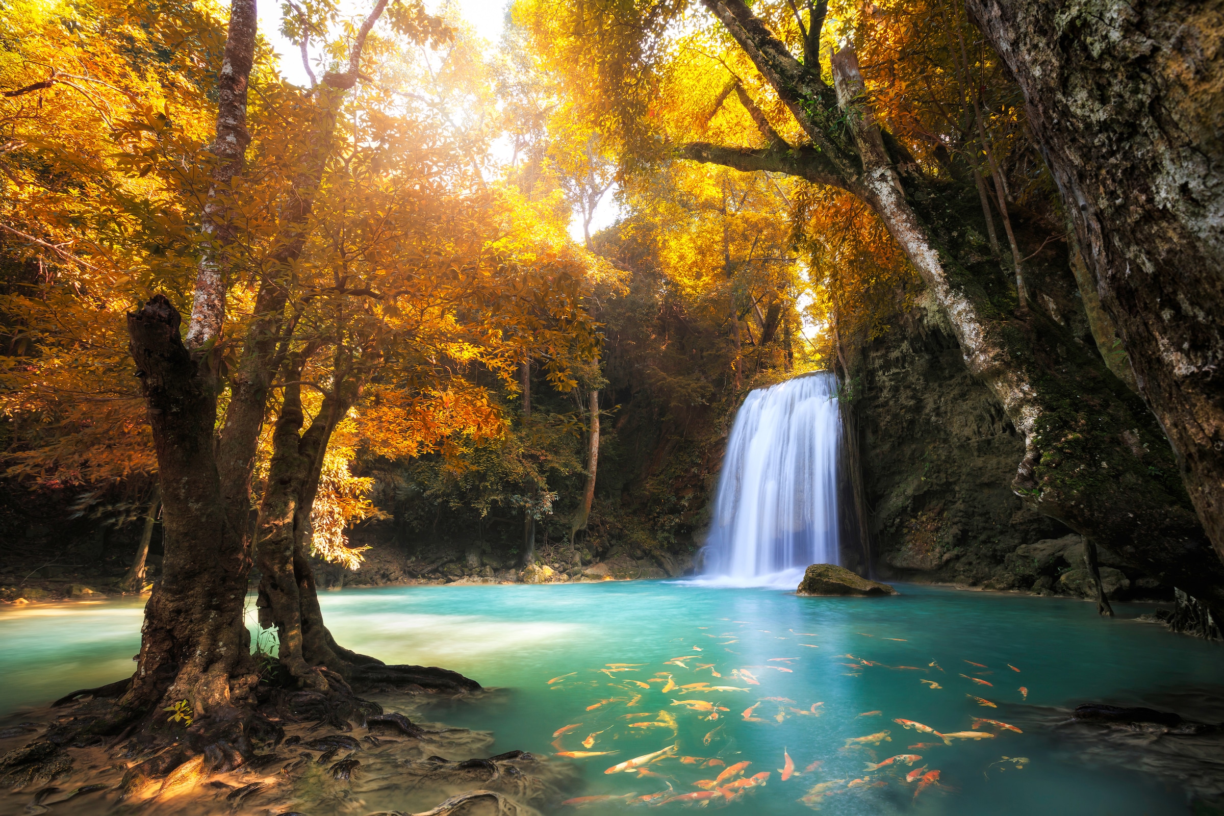 Papermoon Fototapete »Waterfall in Kanchanaburi, Thailand« glatt günstig online kaufen