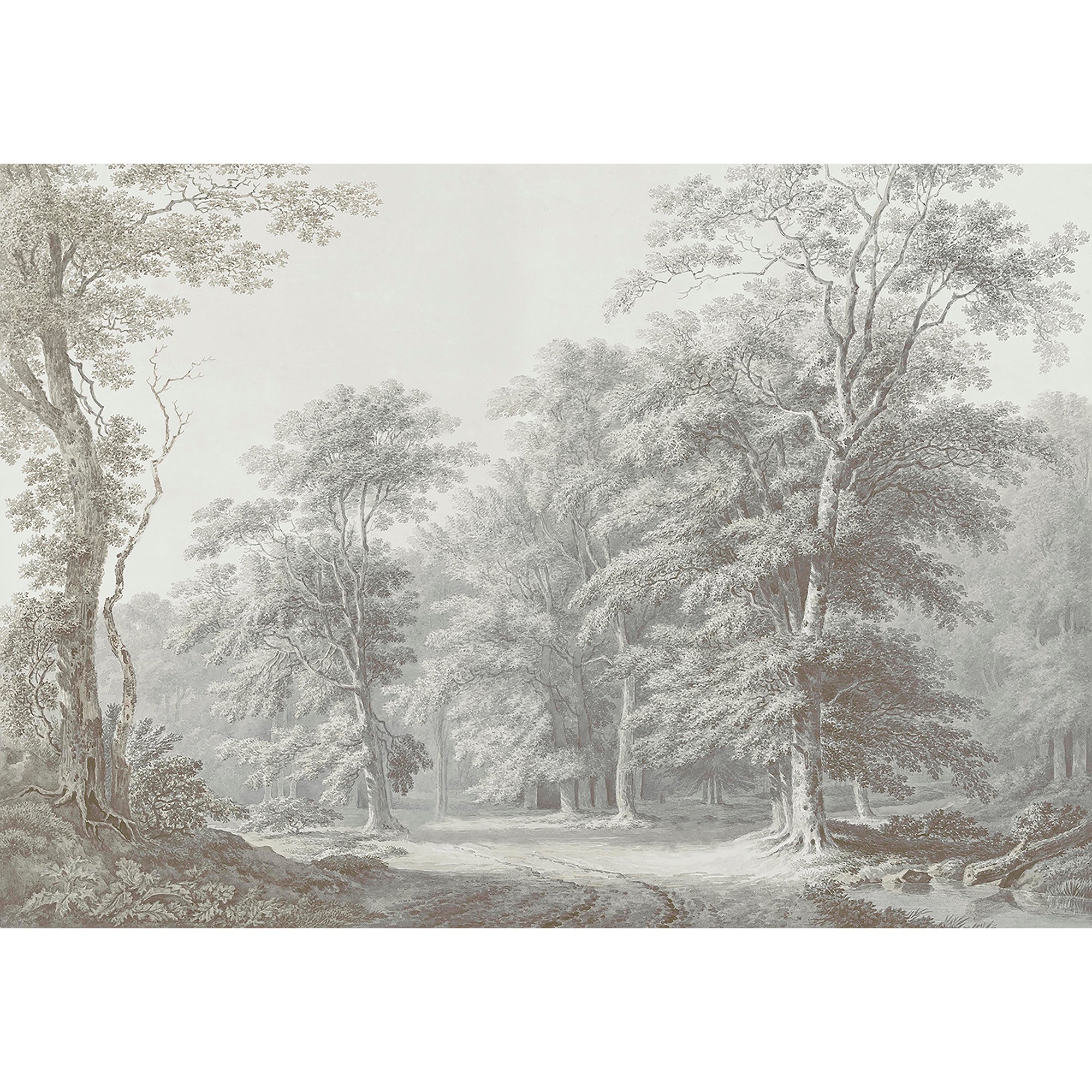 Art for the home Fototapete »Stattliches Waldgebiet« Wald glatt Design Tape günstig online kaufen