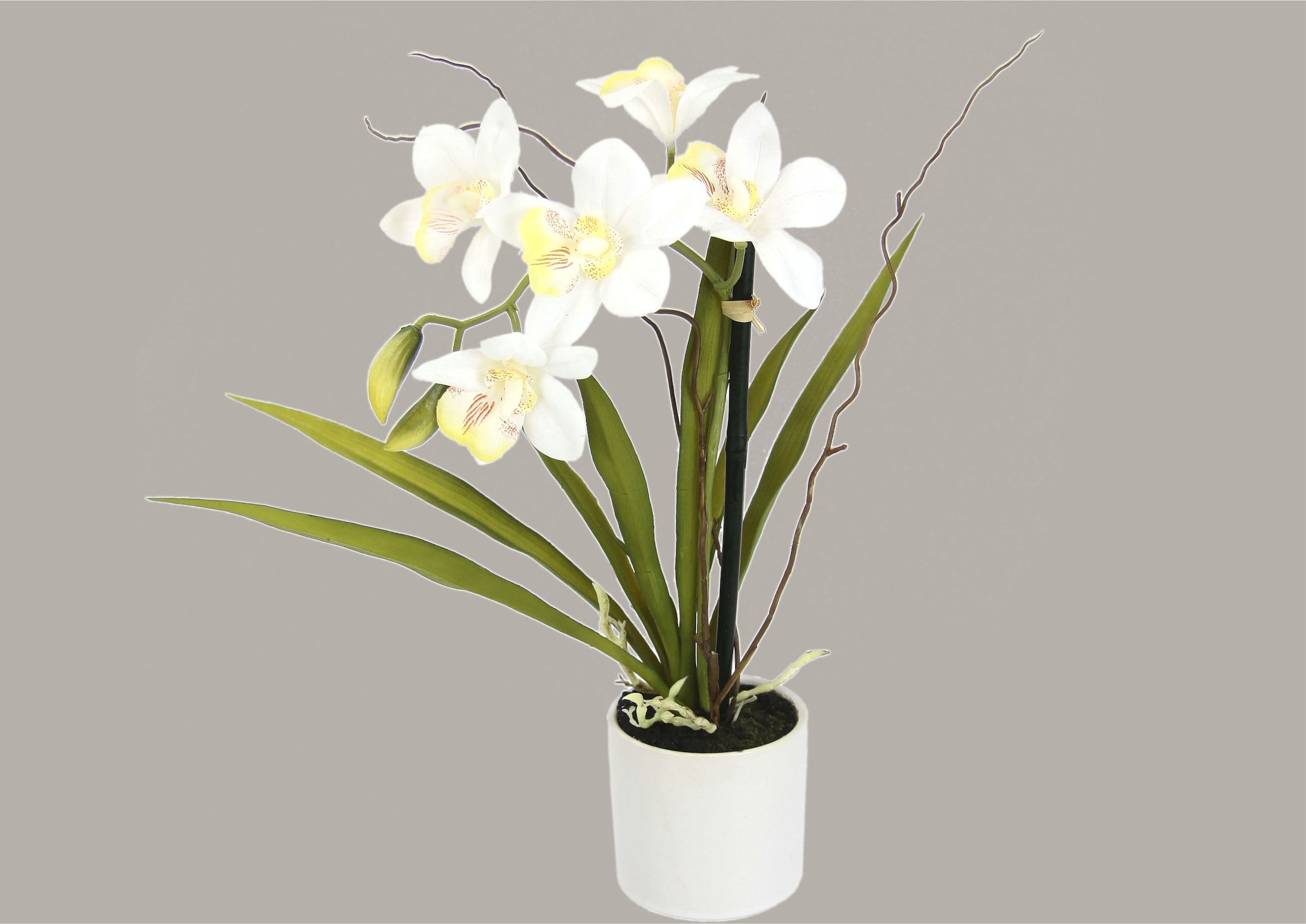 I.GE.A. Kunstorchidee »Orchidee«, im Keramiktopf
