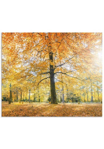 Artland Küchenrückwand »Herbstwald Panorama«, (1 tlg.), selbstklebend in vielen Größen... kaufen