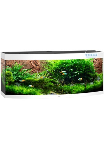 JUWEL AQUARIEN Aquarium »Vision 450 LED«, BxTxH: 151x61x64 cm, 450 l kaufen