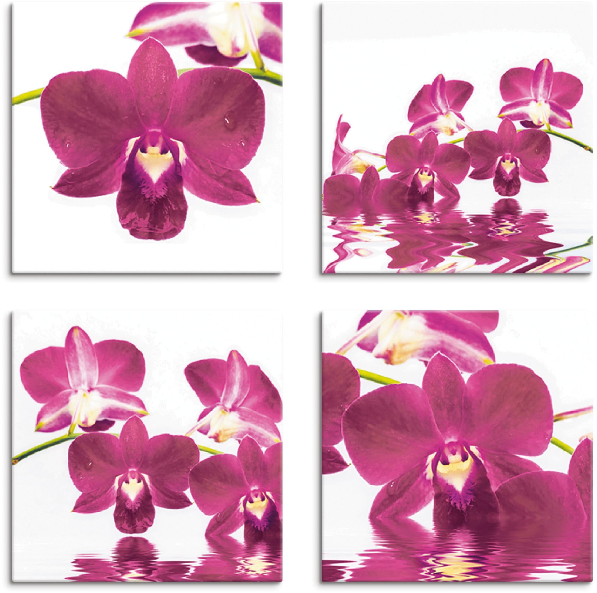 Leinwandbild »Phalaenopsis Orchidee«, Blumen, (4 St.), 4er Set, verschiedene Größen